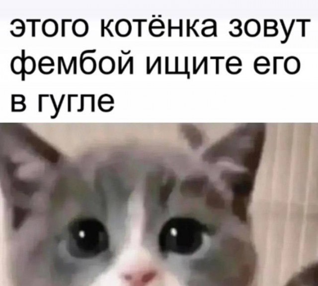 Всего понемногу. От 20.12