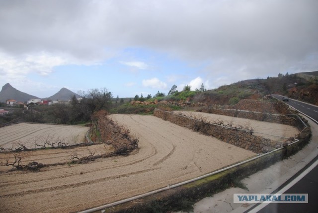 Хочу дачу на канарах!