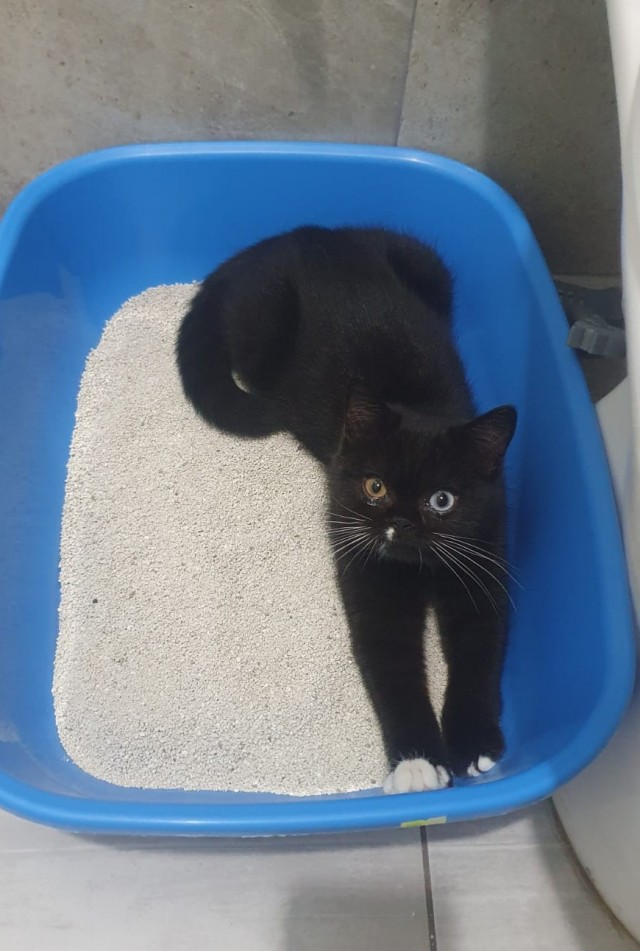 Которабство