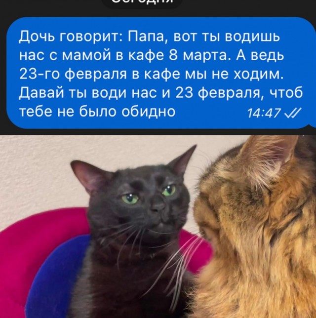 Весёлый полтишок 20.02.24