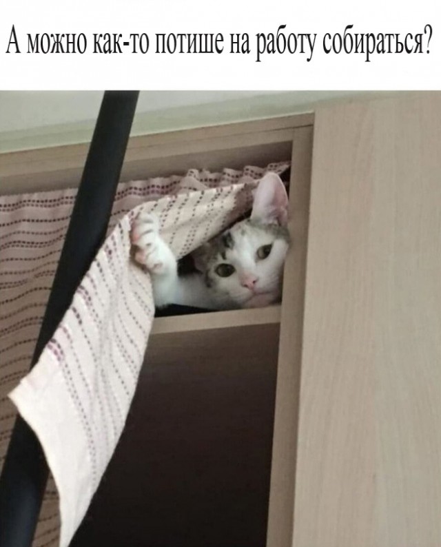 ТРРРидцать тРРРи от 3 апреля