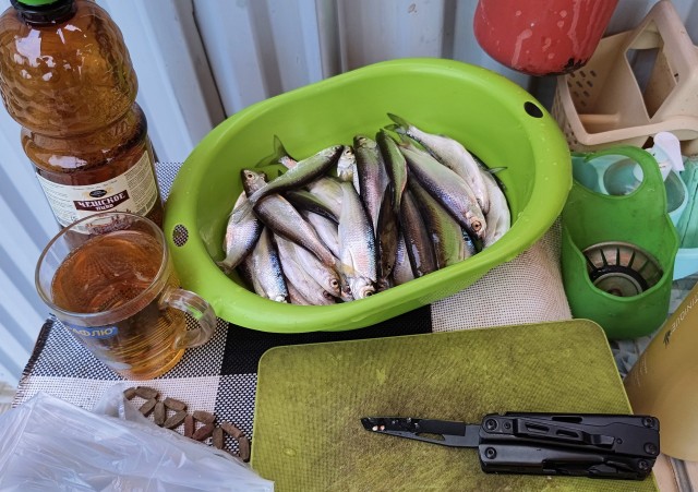 Показываем рыбов