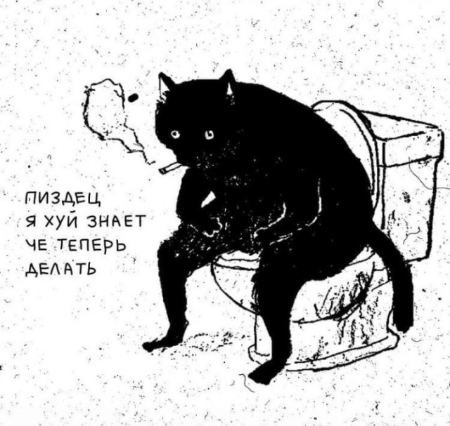 В Тольятти поймали кота-наркокурьера