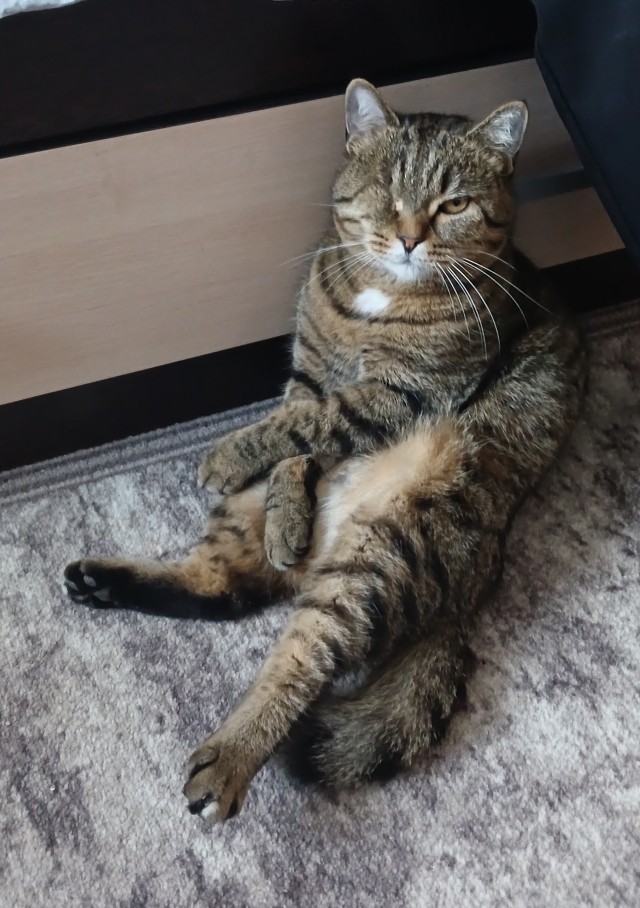 Коть, тебе нормально?