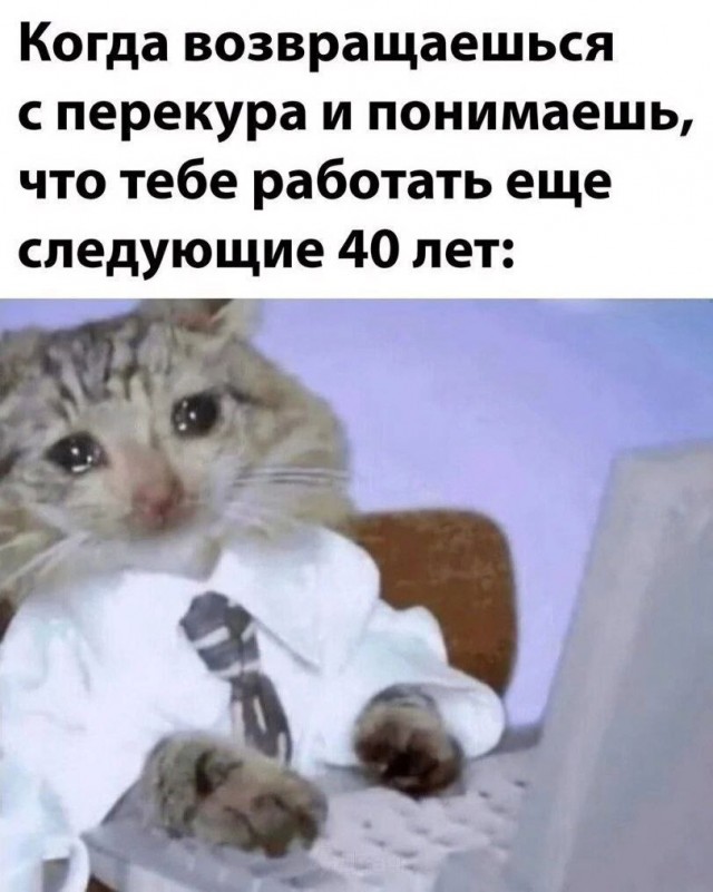 Никакие картинки