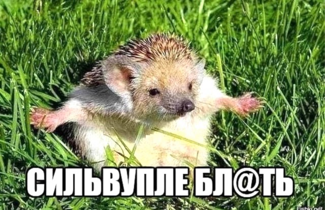 Вблизи Часов Яра в бой вступили французские и немецкие наемники