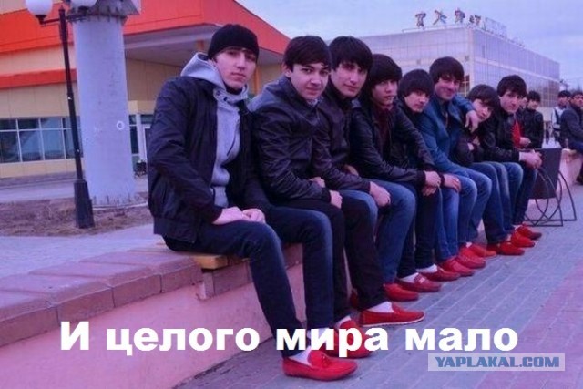 Питер в 2050 году