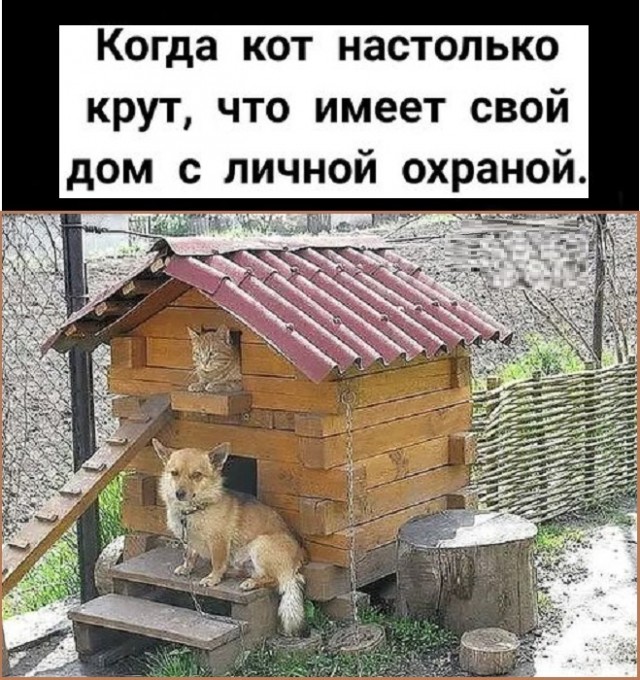 Картинки разные с надписями и без