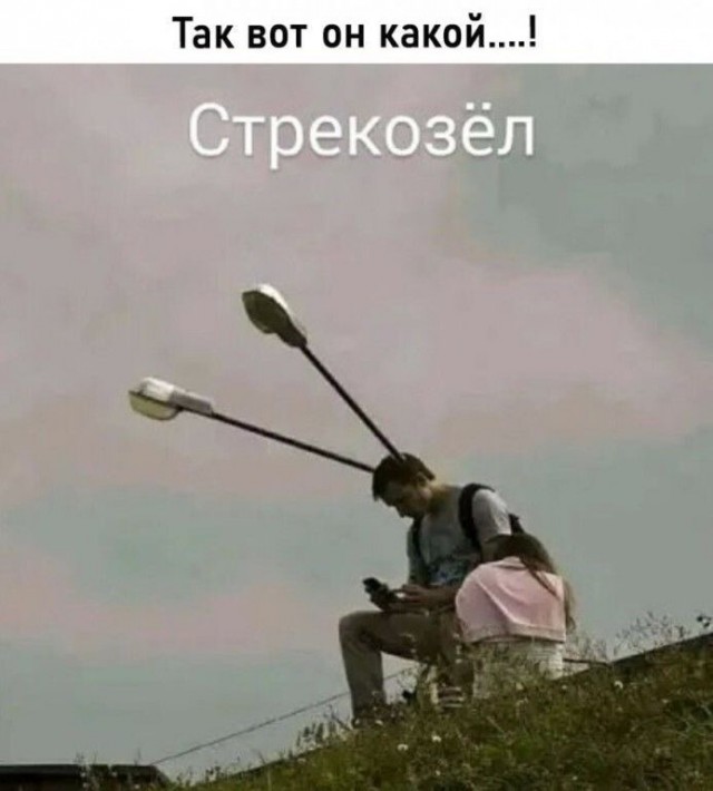 Так себе картинки 22.10.24