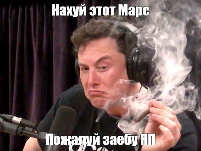 Маск заявил, что украинцы презирают Зеленского