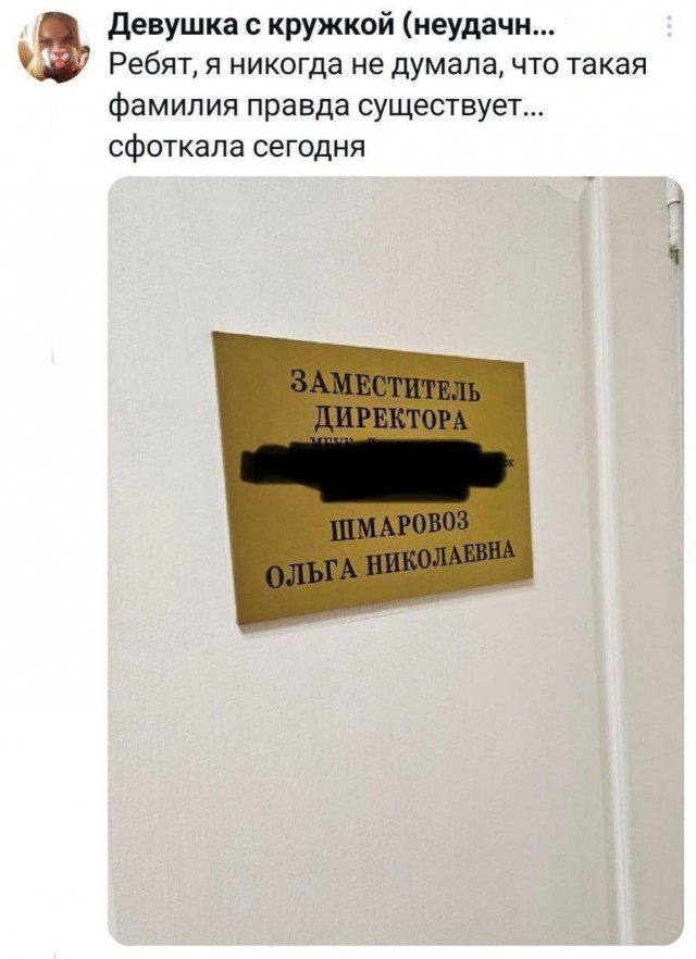 Мемы для хорошего настроения