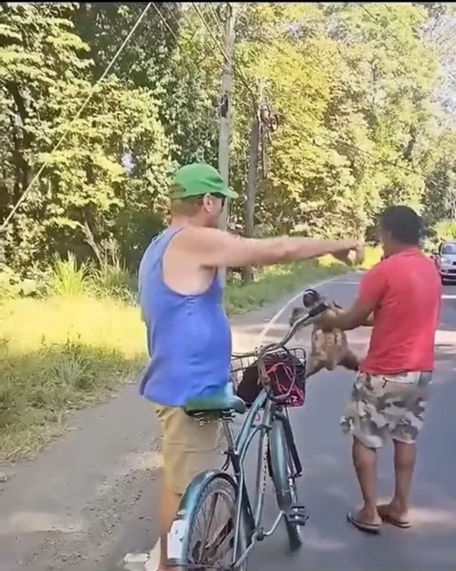 Ну ты чё лентяй, давай мы тебе поможем