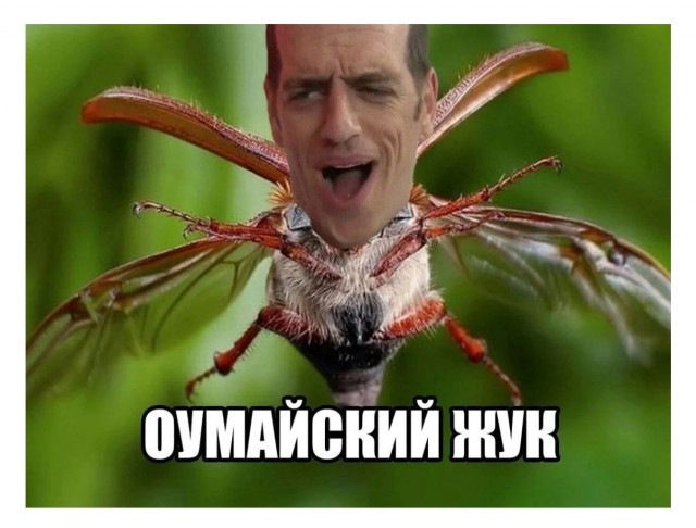 Вылезай, приехали!