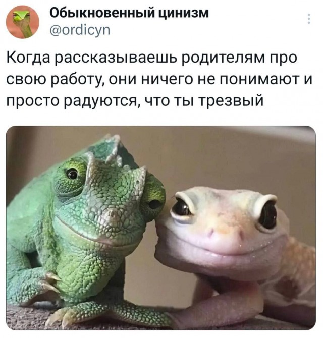 Картинки для деградации 13 (разной степени свежести)