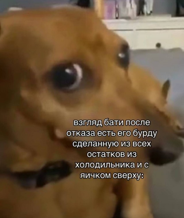 Веселое настроение в картинках 09.08.25