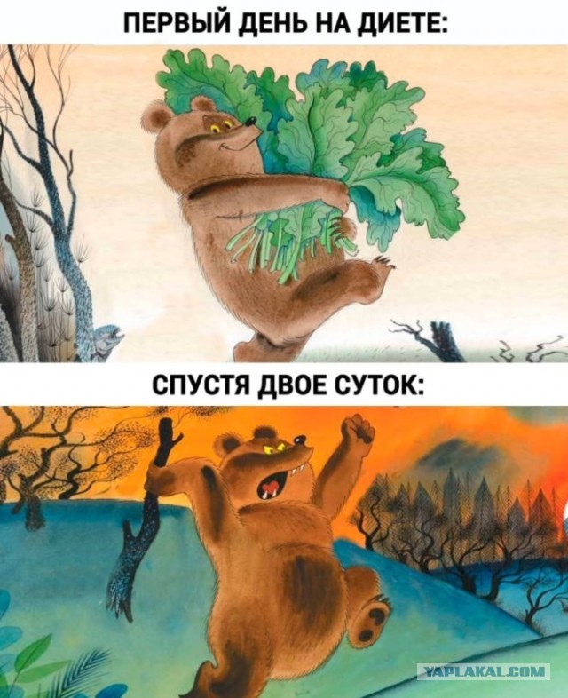 Картинки для деградации 39 (разной степени свежести)