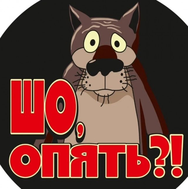 На Камчатке землетрясение 7.8 баллов