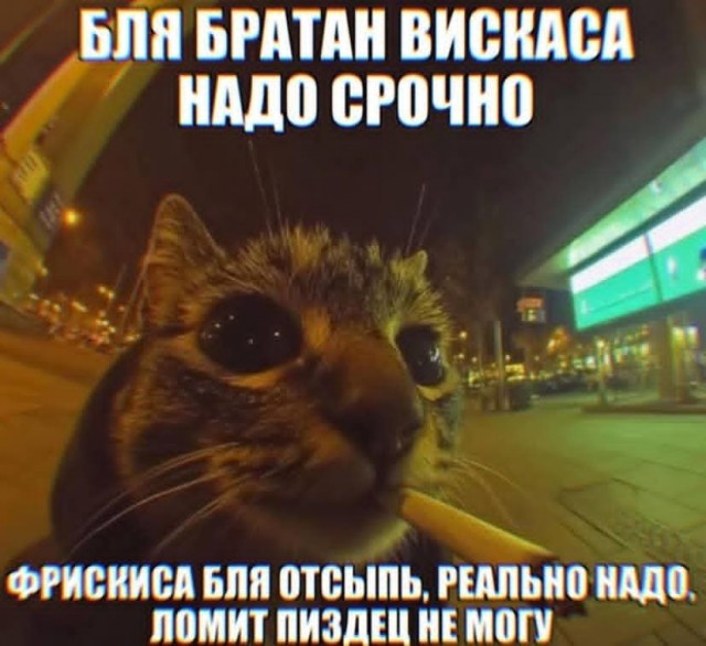 Маленькая пятница 1.10