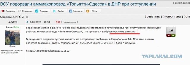 ВСУ подорвали аммиакопровод «Тольятти-Одесса» в ДНР при отступлении