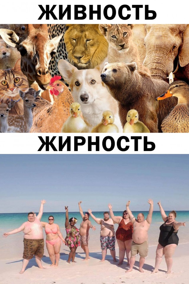 Случайно