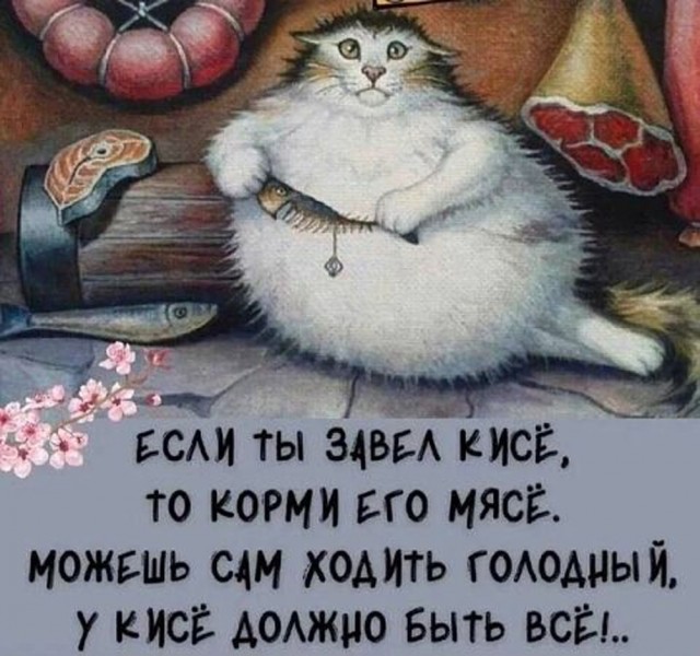 Прикольные и просто красивые картинки 18.11.2025