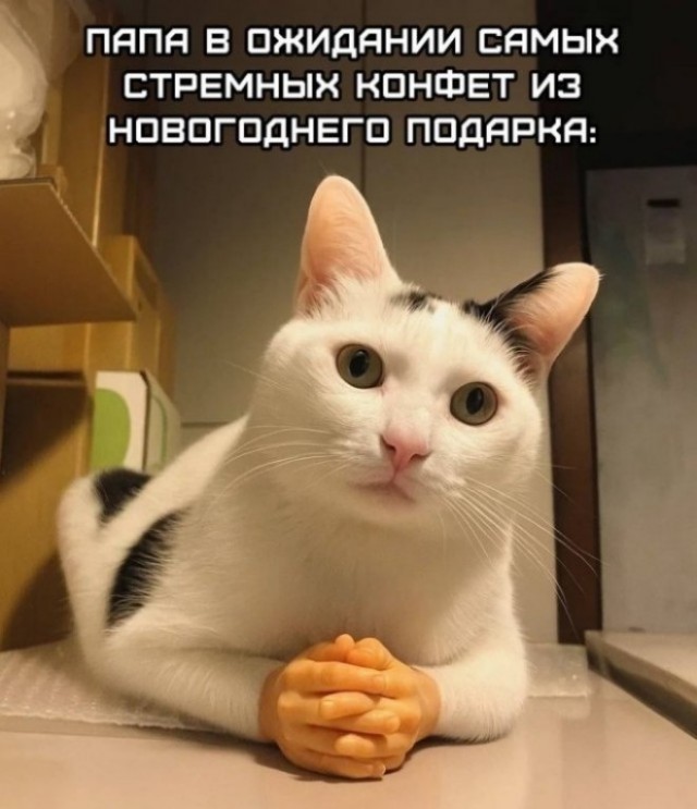 Счастливчики