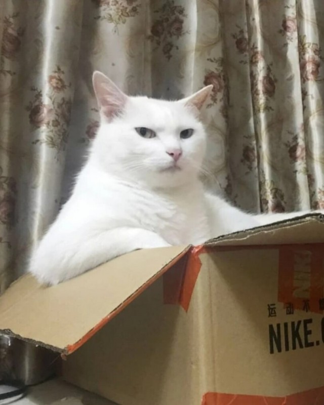 Картиночки на поднедельник