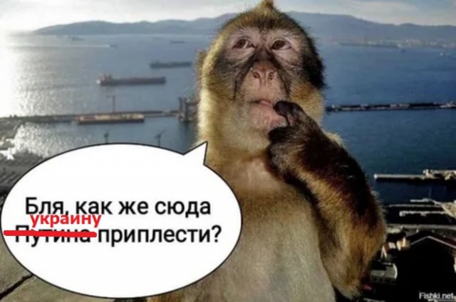 Когда есть хобби веселее жить.