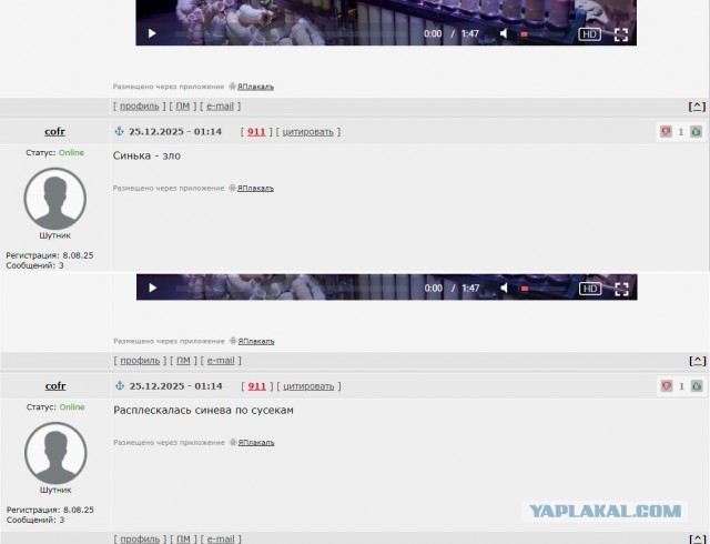 Синих челов вам в ленту на рождество