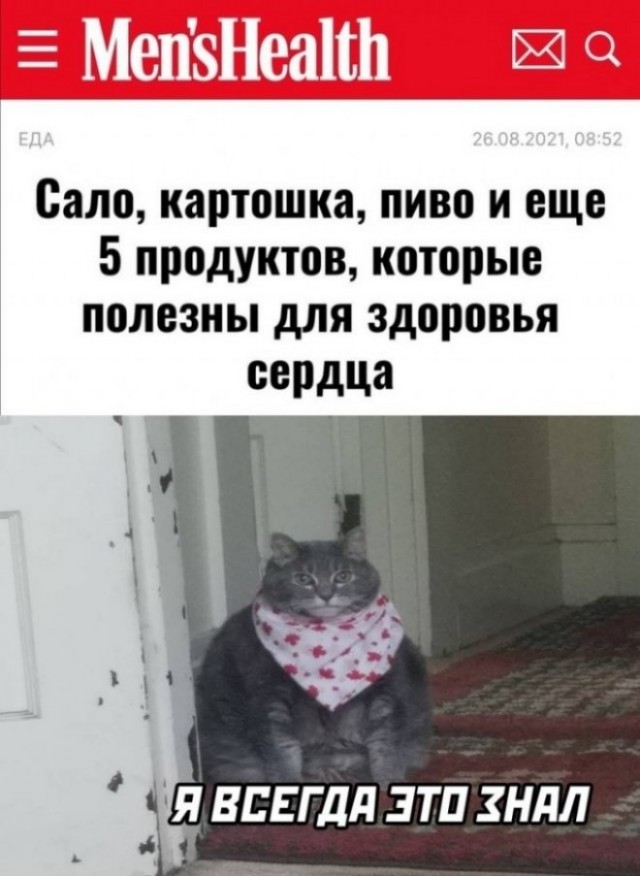 Ударим по баянам ?‍↔️