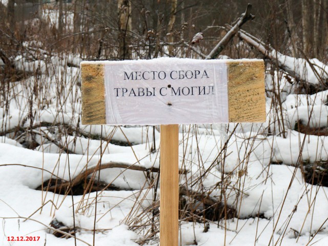 Приколы нашего погоста.
