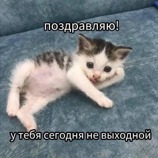 Прикольные и просто красивые картинки 27.02.2026