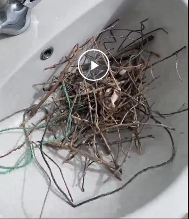 Вороне где‑то бог послал кусочек...