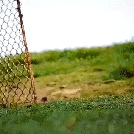 На что она надеялась?