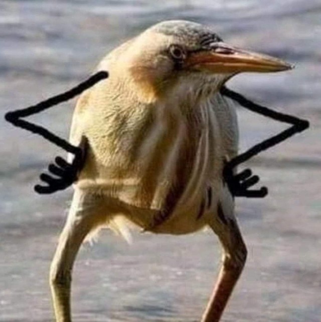 *БАЯН*Ох, уж этот викинг