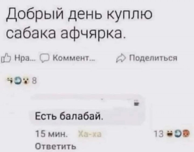 Картинки для деградации 251 (разной степени свежести)