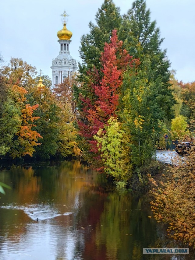 Все краски осени
