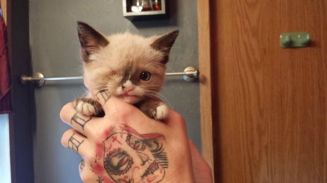 Бернадито Луис Эль Горра!