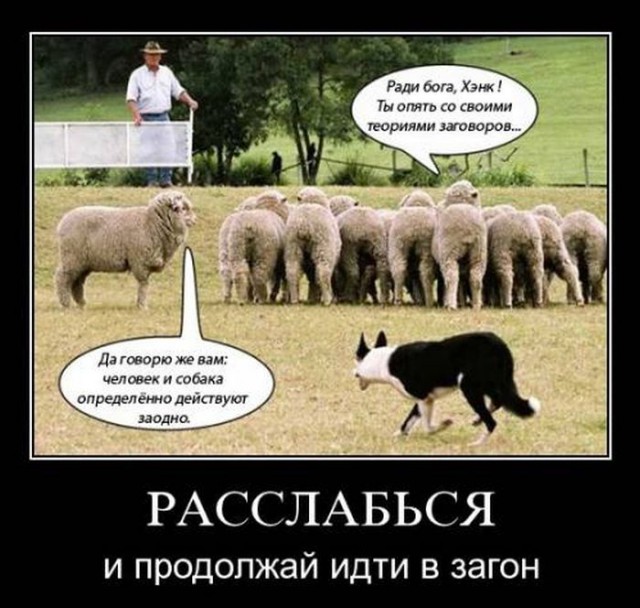 Раскол в Европарламенте!