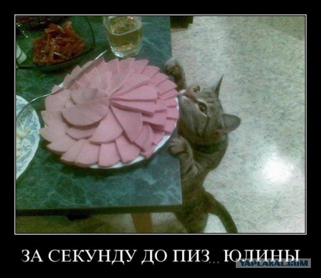 Демотиваторы.