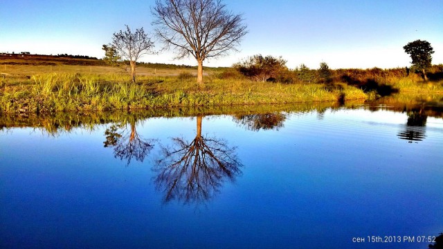 Природа Приморского края