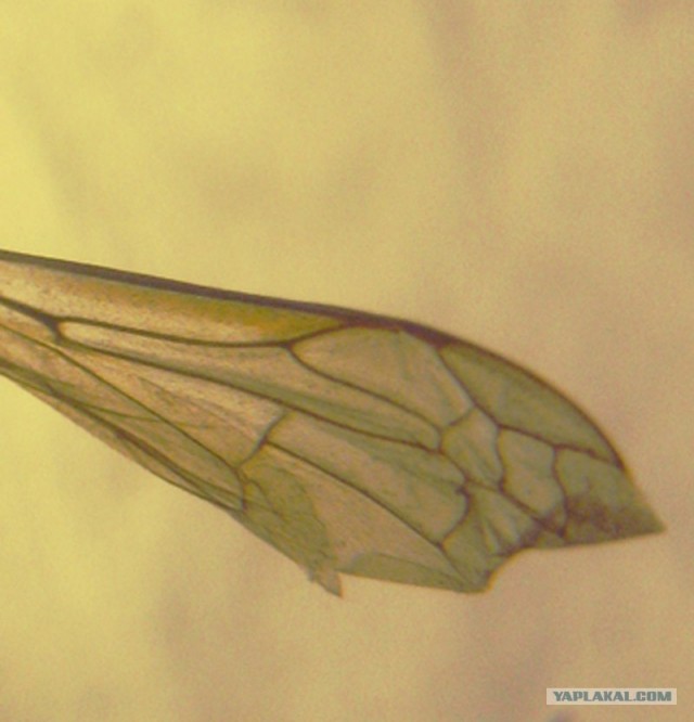 Бытовые предметы очень крупным планом