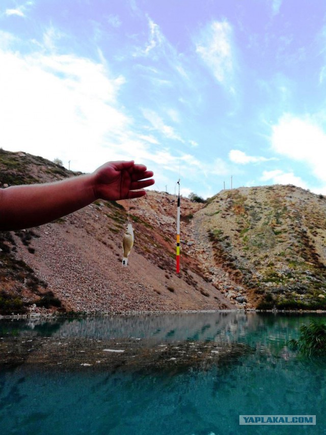 Решено!...на рыбалку..!