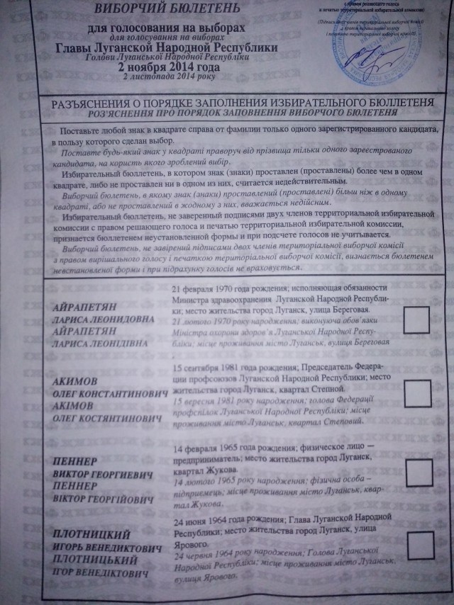 Выборы в Новороссии
