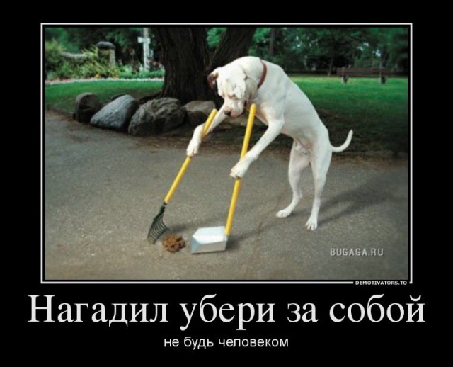 Демотиваторов пост