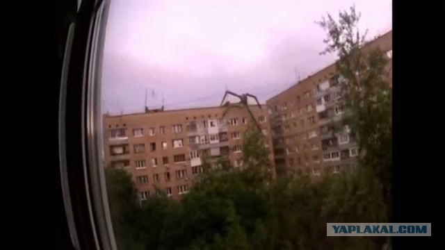 Черная пантера