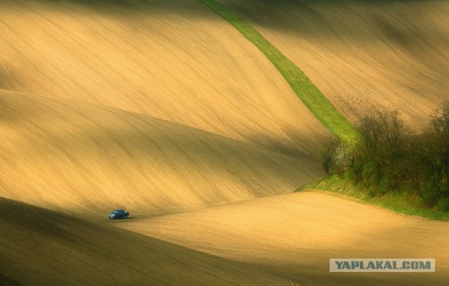 27 фотографий