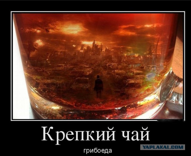 Похоже на пепелище, оставшееся после пожара