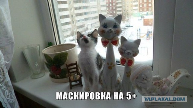 Веселости