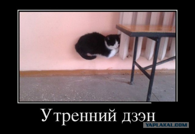 Демотиваторы 30